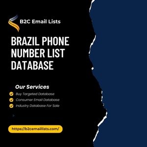 Brazil Phone Number List Database