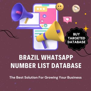 Brazil WhatsApp Number List Database