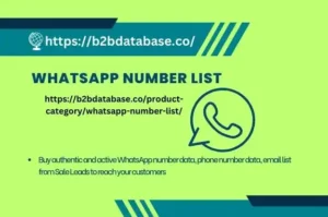 WhatsApp Number List Database